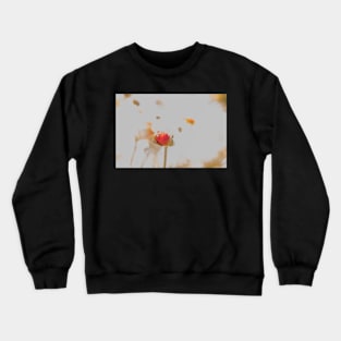 Pretty Poppy Crewneck Sweatshirt